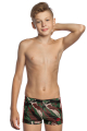 Плавки-шорты принтованные (юниоры) X-Pert junior C2