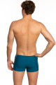Плавки-шорты принтованные (мужчины) Splash Anti-chlor L0