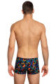 Плавки-шорты принтованные (мужчины) X-Pert HiClo N4
