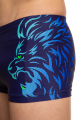 Плавки-шорты принтованные (мужчины) Stalker HiClo R6