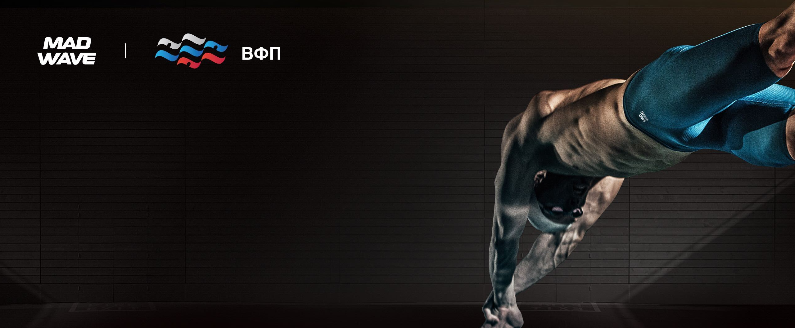 https://legacy.madwave.ru/world/mw-and-vfp-partneri